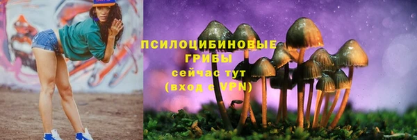 мдпв Богородицк