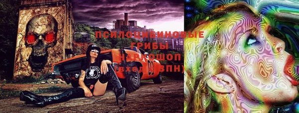 мдпв Богородицк