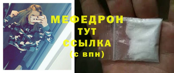 мдпв Богородицк