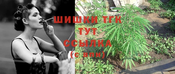 скорость Богданович