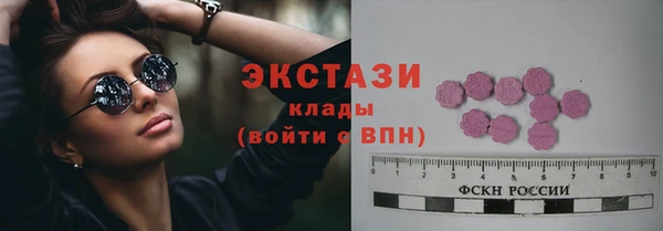 мдпв Богородицк