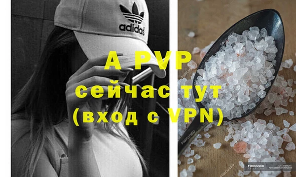 скорость Богданович