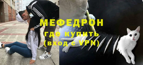 мдпв Богородицк