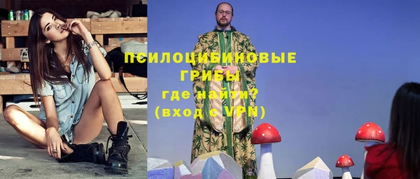мдпв Богородицк